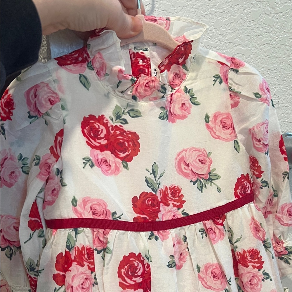 Janie and Jack Girls Rose Dress - Picture 3 of 4